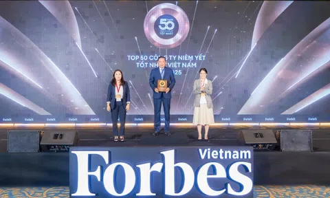 BIC: Hành trình 20 năm xây dựng thương hiệu bảo hiểm phi nhân thọ hàng đầu Việt Nam