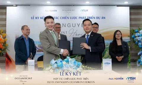 MSH Group chính thức trở thành đơn vị phát triển dự án Anh Nguyen Horizon Nha Trang