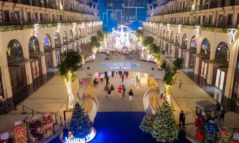 Masterise Homes khai trương Tâm điểm thương mại - dịch vụ - giải trí Malibu Walk tại Ocean Park 1