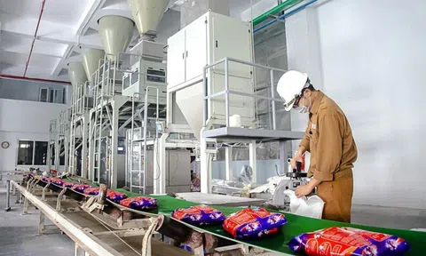 Dragon Capital không còn là cổ đông lớn tại Hóa chất Đức Giang trước khi cổ phiếu lao dốc