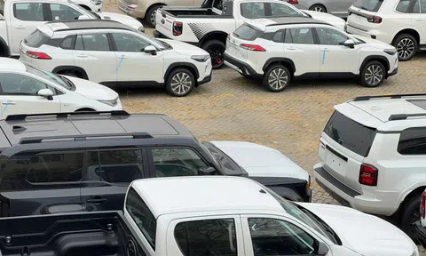 Cận cảnh lô xe gần 2.100 chiếc vừa cập cảng TPHCM