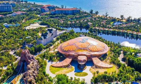 Người thân Phó Tổng giám đốc Vinpearl chi hơn 400 tỷ đồng gom cổ phiếu VPL