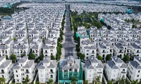 Vinhomes chuyển nhượng công ty con ở dự án Vinhomes Ocean Park 3