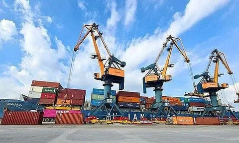 Nhóm Viconship muốn nâng mạnh tỷ lệ sở hữu tại Xếp dỡ Hải An