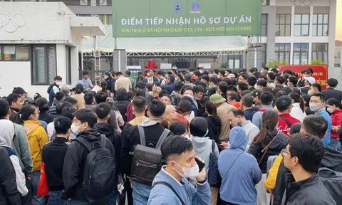 Người dân Hà Nội, TP.HCM, Hải Phòng, Đà Nẵng... đón tin vui