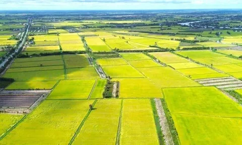 Giá đất nông nghiệp vài trăm nghìn đồng/m², quá thấp so với đất ở: Có nên tăng?