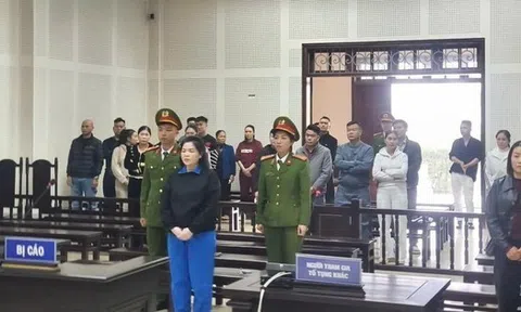 Người phụ nữ lừa đảo hơn 31 tỉ đồng để "nướng" vào cờ bạc