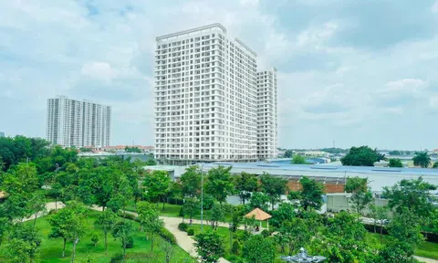 Chung cư Benhill thử nghiệm mô hình “sống thử” cho khách mua ở thực