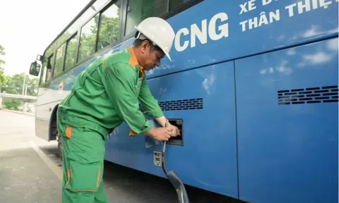 Gần 500 xe buýt TPHCM có thể ngừng hoạt động vì thiếu khí, Bộ Công Thương yêu cầu báo cáo
