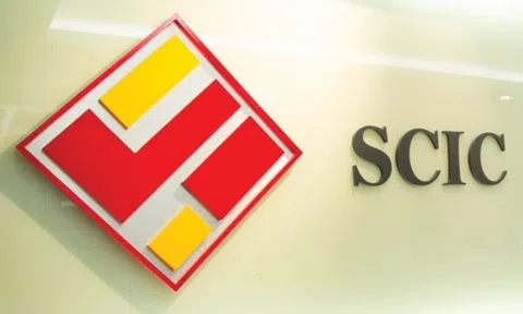 Sau 10 năm “ế khách”, SCIC trở lại thoái vốn một doanh nghiệp với giá khởi điểm gấp 7 lần mệnh giá