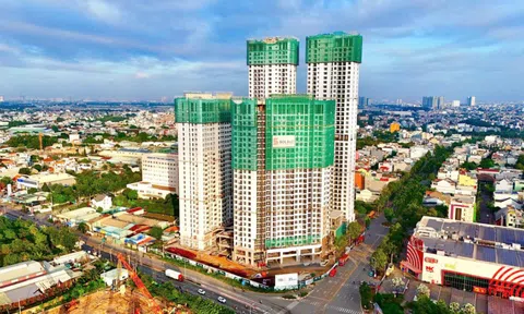 Chung cư 'mọc' dày đặc, người trẻ TP.HCM vẫn xa giấc mơ an cư