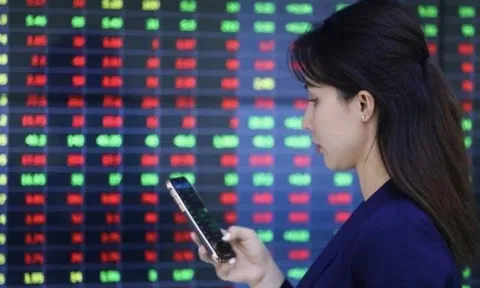 Ngỡ ngàng cổ phiếu 'họ Vin'