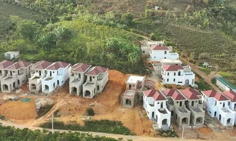 Đất vi phạm trước 1/7/2014 có thể được xem xét cấp sổ đỏ