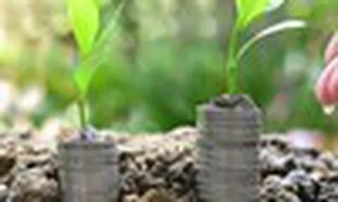 Nhận định thị trường phiên giao dịch ngày 25/12: Nắm giữ cổ phiếu