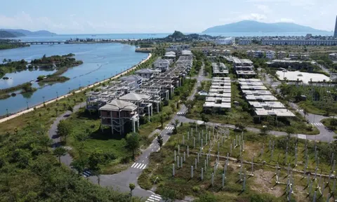 Thanh tra Chính phủ yêu cầu thu hồi 45,91 ha đất tại dự án Golden Hills Đà Nẵng của Trung Nam