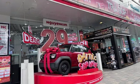 Thương vụ Nguyễn Kim và thị trường điện máy