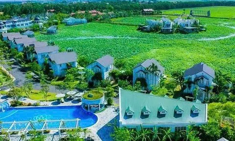 Một cổ đông cá nhân rời ghế cổ đông lớn tại TIG