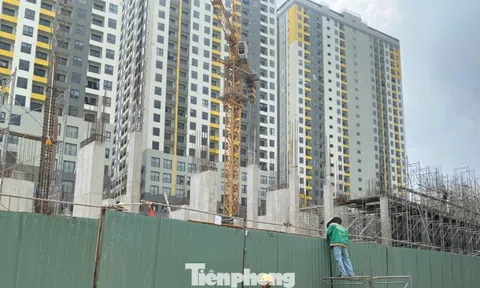 TPHCM quy định số người, diện tích căn hộ chung cư