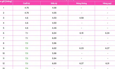 Một ngân hàng trả lãi suất tiết kiệm 8,1%/năm cho kỳ hạn 6 tháng với số tiền gửi từ 1 tỷ đồng