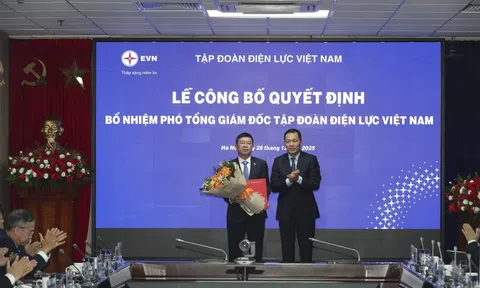 Bổ nhiệm 2 Phó Tổng giám đốc EVN