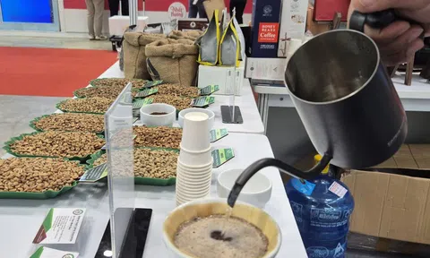 Giá cà phê hôm nay 31-12: Robusta tăng phiên thứ 5