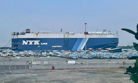 Tàu chở ô tô đầu tiên của năm 2026 cập cảng TPHCM, có cả xe sang và xe điện Trung Quốc