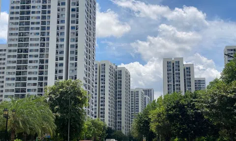 Nhìn lại bức tranh bất động sản TP.HCM năm 2025