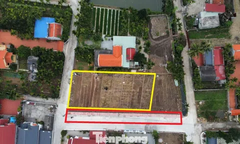 Hải Phòng cho phép chuyển đổi mục đích sử dụng đất trở lại