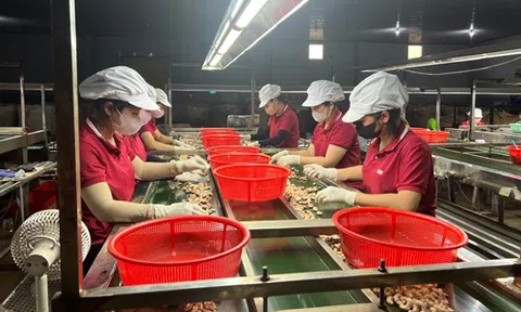 Tăng sức cạnh tranh cho doanh nghiệp Việt