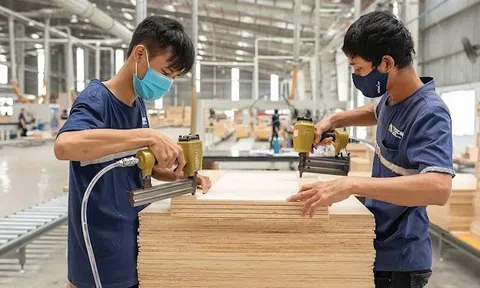 Mỹ bất ngờ hoãn tăng thuế với gỗ nhập khẩu theo Mục 232