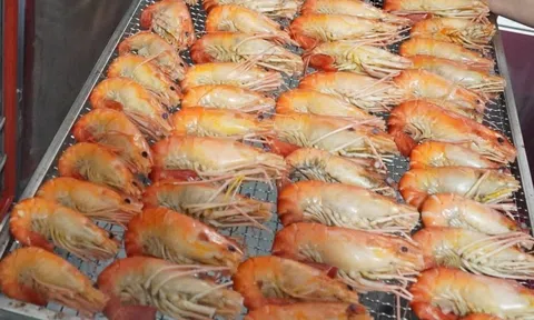 "Con tôm ôm cây lúa" bán 1 triệu đồng/kg nhờ bí quyết này