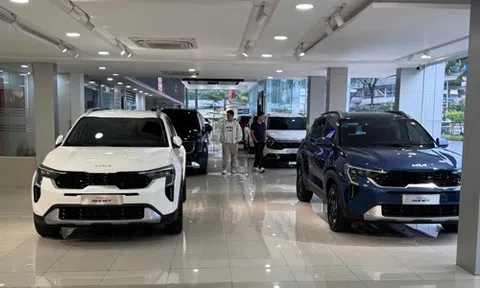 Năm 2025, thị trường ô tô nhiều biến động