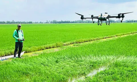 2 hoạt chất thuốc bảo vệ thực vật sắp bị cấm sử dụng tại Việt Nam