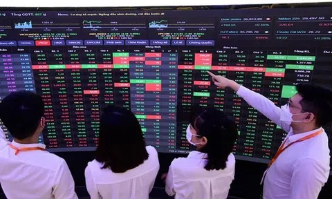 Công khai người hành nghề chứng khoán không hoàn thành tập huấn hàng năm