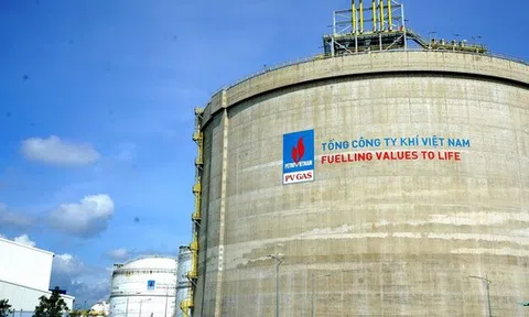 PV Gas không còn đáp ứng điều kiện công ty đại chúng