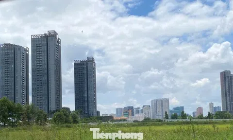 TPHCM xây dựng hệ số điều chỉnh bảng giá đất ra sao?