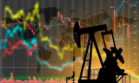 Loạt doanh nghiệp họ dầu khí báo lãi đậm trong năm 2025