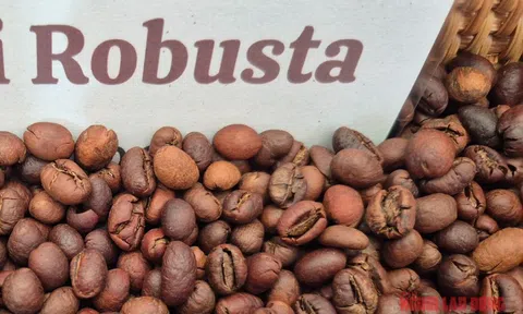 Giá cà phê hôm nay 6-1: Quay đầu giảm sau 7 phiên tăng