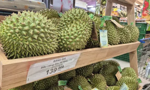 Lý do giá sầu riêng tăng 10.000 đồng/kg chỉ sau 3 ngày