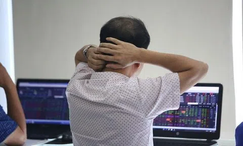 Chuyên gia chỉ ra sai lầm khiến nhiều nhà đầu tư thua lỗ dù VN-Index tăng hơn 500 điểm