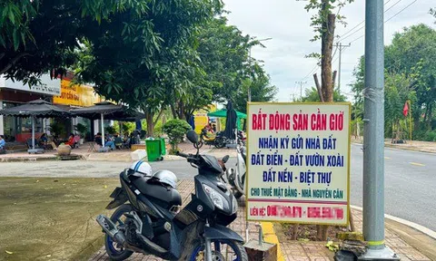 Thị trường nhà ở TP.HCM bùng nổ giao dịch vào cuối năm, động lực chính đến từ đại đô thị lấn biển Cần Giờ