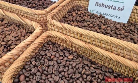 Giá cà phê hôm nay 7-1: Bật tăng, lấy lại mốc quan trọng