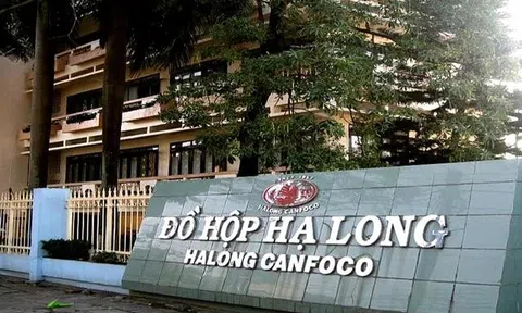 Công ty Đồ hộp Hạ Long lên tiếng về thông tin liên quan thịt lợn bệnh