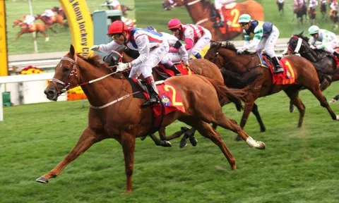 Thị phần môi giới của SSI trên HoSE lên cao nhất 22 quý