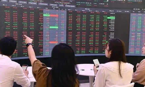 Thị phần môi giới sàn HoSE năm 2025 biến động ra sao?