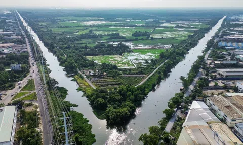 Vinhomes sắp xây khu đô thị đại học quốc tế lớn nhất cả nước: vốn gần 59.000 tỷ, rộng ngang quận trung tâm, nằm sát Vành đai 3