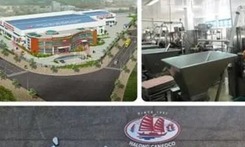 Bắt Tổng Giám đốc Công ty CP Đồ hộp Hạ Long vụ thịt nhiễm virus bệnh dịch tả heo châu Phi