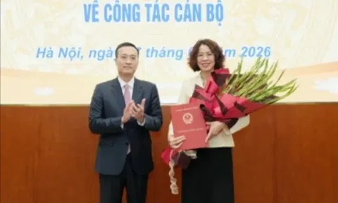 Cục Quản lý, giám sát tổ chức tín dụng có Cục trưởng mới