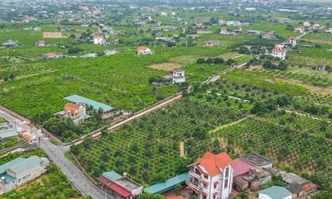 Tháo gỡ vướng mắc các dự án đất đai và triển khai Chương trình mục tiêu quốc gia