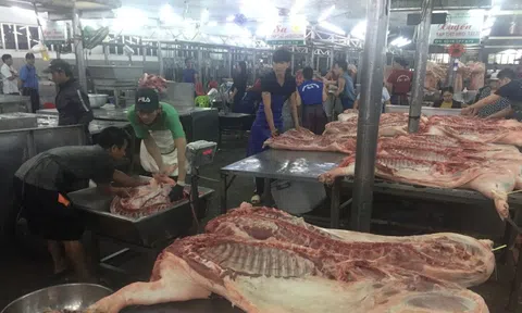 Giá heo hơi hôm nay, 12-1: Giá về chợ tiếp tục tăng cao